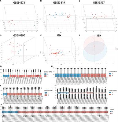Novel prognostic biomarkers in nasopharyngeal carcinoma unveiled by mega-data bioinformatics analysis